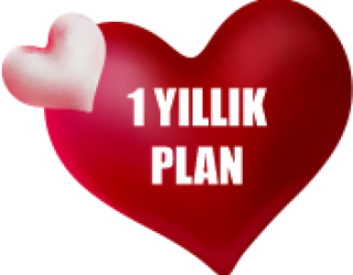 1 Yıllık Plan