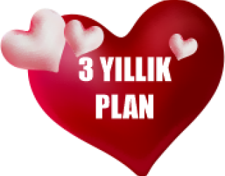 3 Yıllık Plan